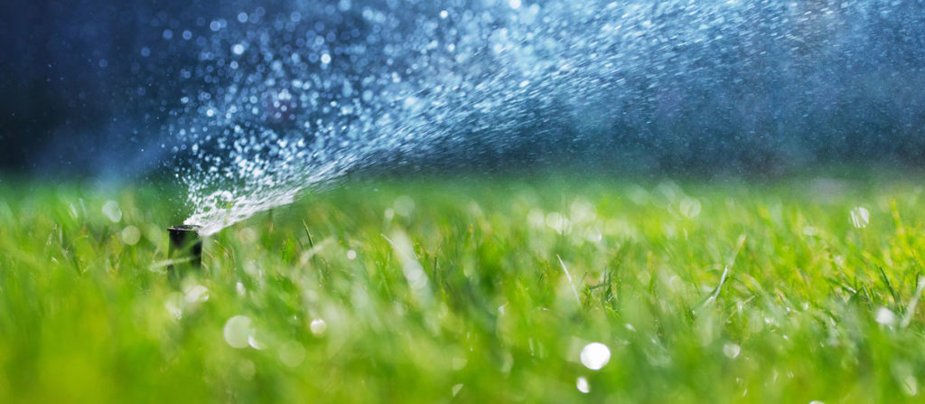 Spring Watering Schedule as required by the Las Vegas Valley Water District (LVVWD)