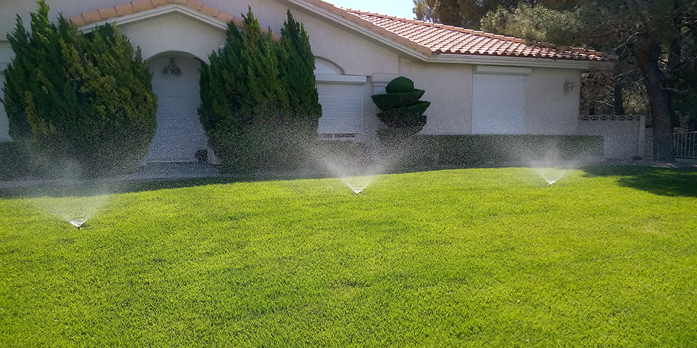 Lawn irrigation smart in Las Vegas
