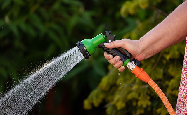 shower your plants garden-hose (watering schedule SNWA)